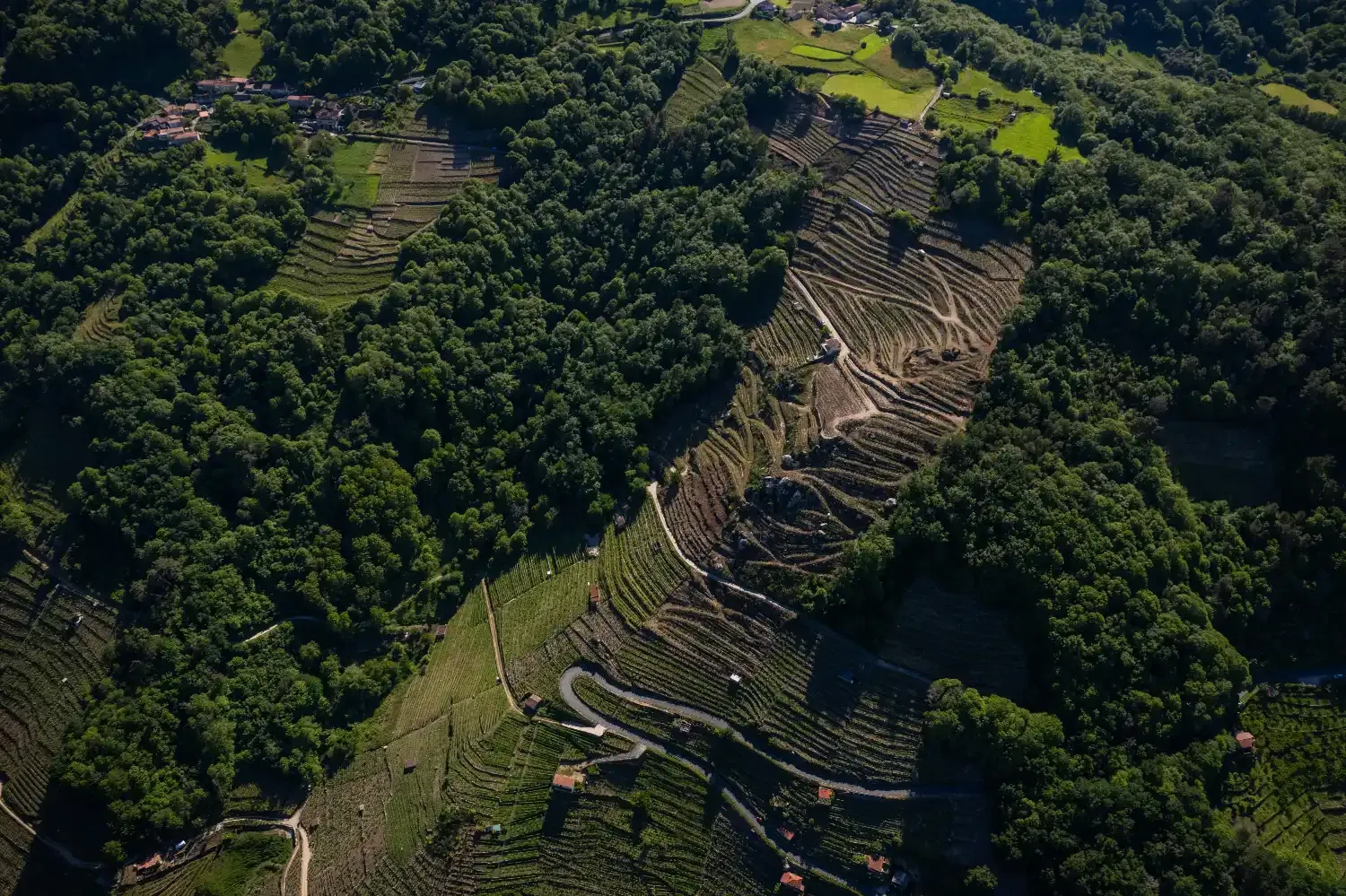 Formas ancestrales de ocupar el territorio